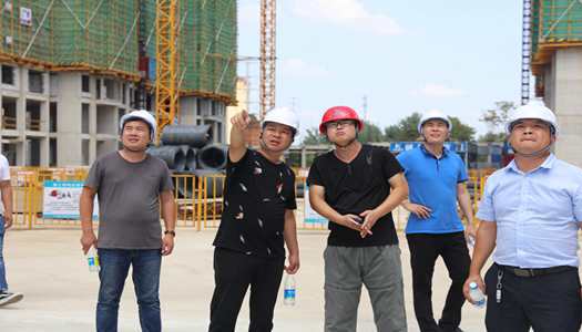 乐鱼网页版-乐鱼(中国)官方董事会巡检圆满完成